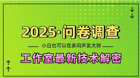 2025问卷调查最新工作室技术解密：一个人在家也可以闷声发大财，小白一天2张，可矩阵放大-小七创业网-分享网络创业-网赚资讯