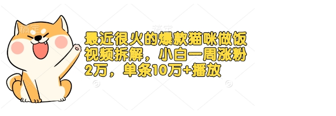 最近很火的爆款猫咪做饭视频拆解，小白一周涨粉2万，单条10万+播放(附保姆级教程)-小七创业网-分享网络创业-网赚资讯