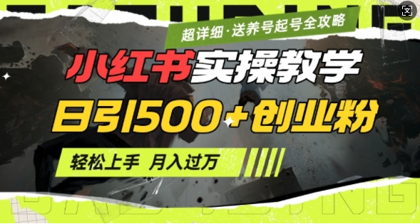 2月小红书最新日引500+创业粉实操教学【超详细】小白轻松上手，月入1W+，附小红书养号起号SOP-小七创业网-分享网络创业-网赚资讯