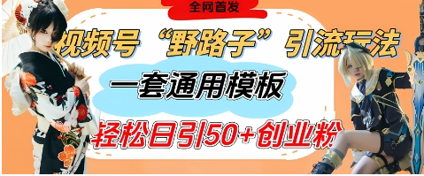 视频号“野路子”玩法，评论区疯狂截流，一套模板单日单号引流50+创业粉-小七创业网-短视频自媒体创业项目资源网